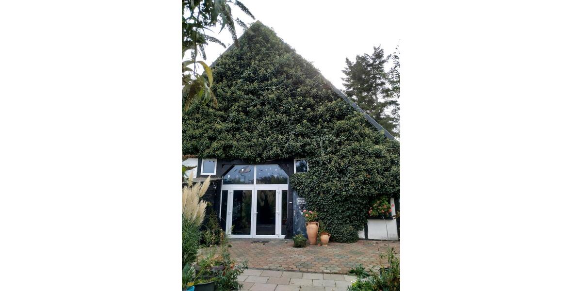 Bauernhaus, Landhaus Preußisch Oldendorf - 4 Zimmer, 200 m&sup2;, 250.000&euro; | Angebot:24597135