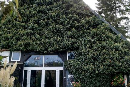 Haus Preußisch Oldendorf - 4 Zimmer, 200 m&sup2;, 250.000&euro; | Angebot:24597135