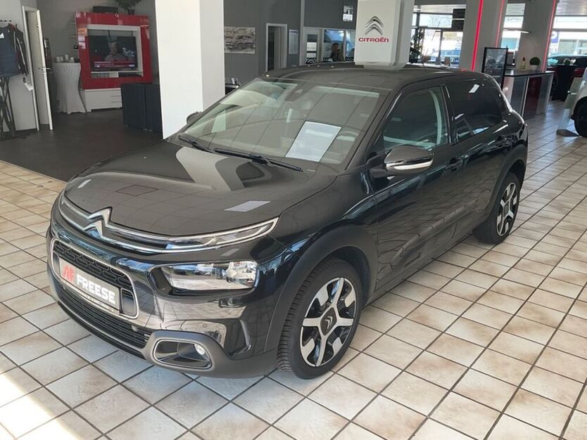 C4 Cactus