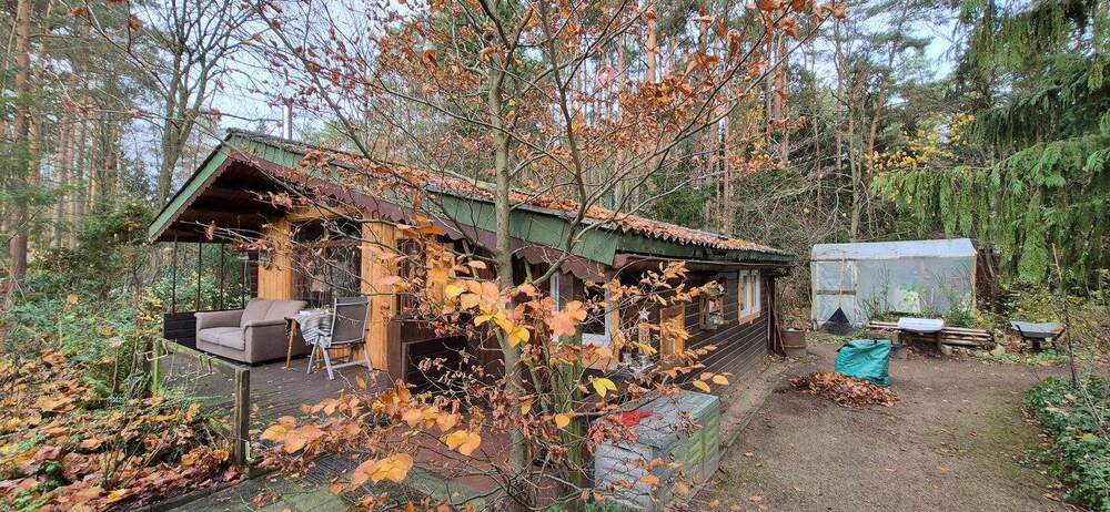 Idyllisches Blockhaus in gefühlter Alleinlage auf großem Grundstück - Bungalow Hitzacker Harlingen | Angebot:24917759