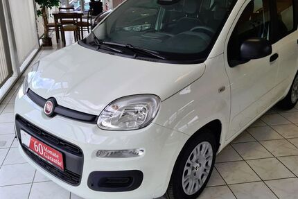 Fiat Panda 2.500 km 14.450 € Gefrees 95482