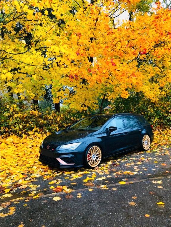 Seat Leon 91.700 km 22.222 € Hofstetten 77716