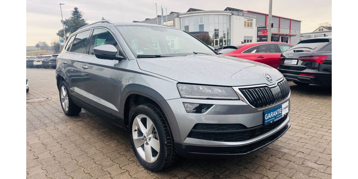 Skoda Karoq 46.500 km 21.970 &euro; Bad Rappenau 74906