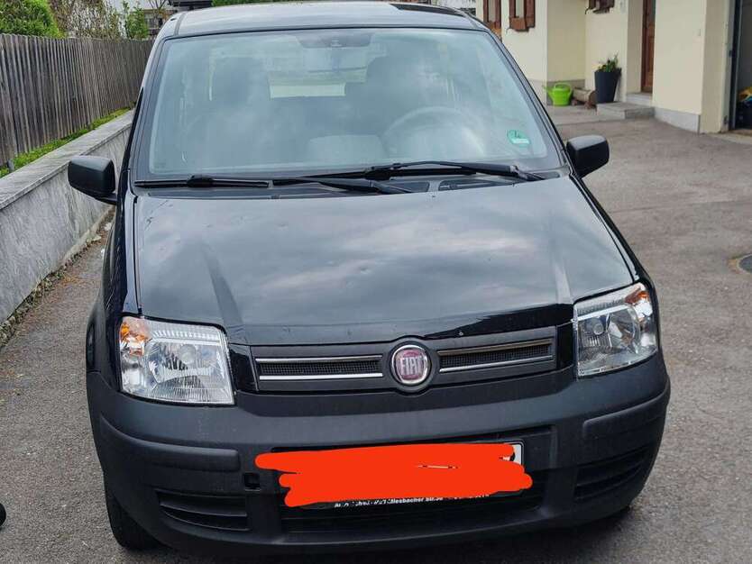 Panda