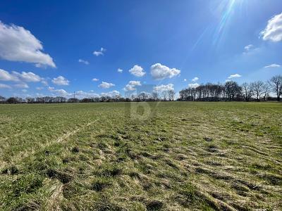 GROßE FLÄCHE MIT VIELSEITIGER NUTZUNG - Grundstück Oststeinbek | Angebot:26698037
