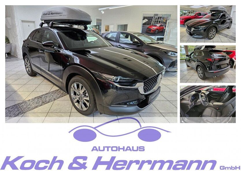 Mazda CX-30 1.133 km 33.790 € Köthen 06366