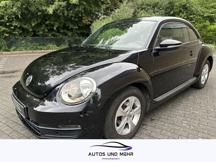 Beetle
