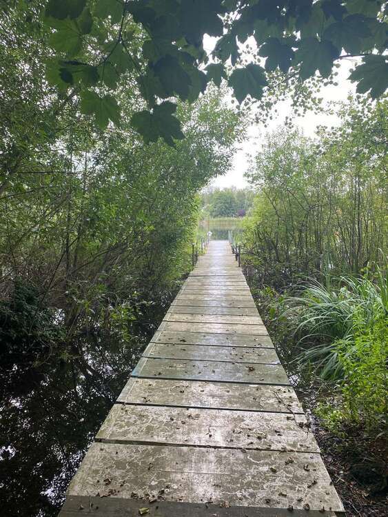 Paketverkauf in Falkensee: Zwei Reihenhäuser in ruhiger u. grüner Siedlungslage nahe Potsdam +Berlin 9 zimmer