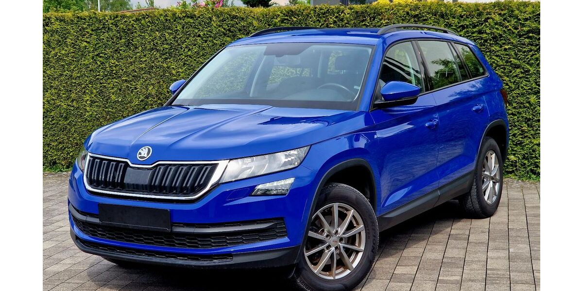 Skoda Kodiaq 169.000 km 17.999 &euro; Bad Lippspringe 33175