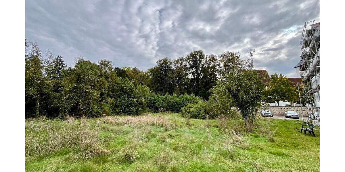 Freies Baugrundstück in attraktiver Lage - vielseitig nutzbar zimmer