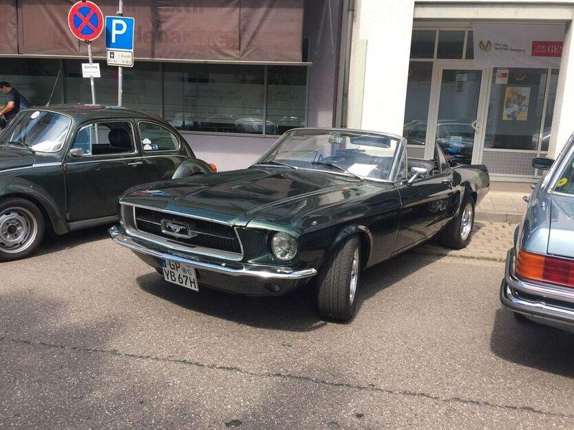Mustang