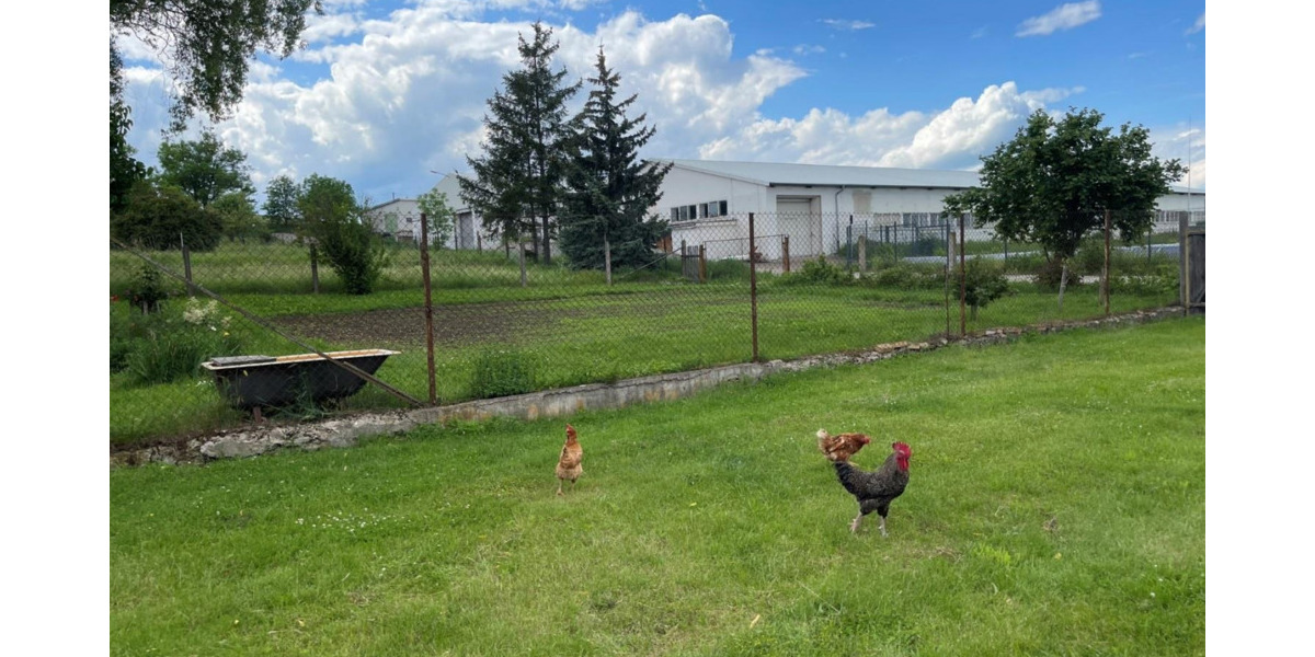Mehrfamilienhaus, Wohnhaus Amt Wachsenburg Rehestädt - 429.000&euro; | Angebot:25723805