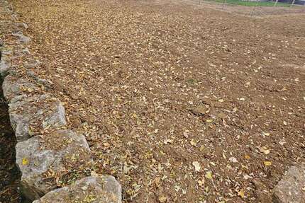 Grundstück Mutlangen - 150.000&euro; | Angebot:23795854