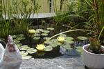 Ferienimmobilie Menteroda - 45&euro; | Angebot:20794453