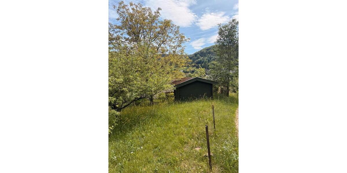 Einfamilienhaus Ettenheim - 600.000&euro; | Angebot:26777663