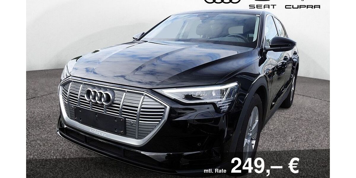 Audi e-tron 40.850 km 26.470 &euro; Bietigheim-Bissingen 74321