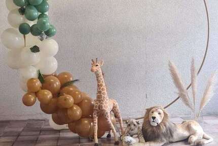 Halle in Breuberg-Hainstadt 500 € 130 m² zimmer