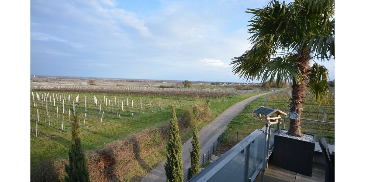 Eine traumhafte, lichtdurchflutete Penthouse-Wohnung mitten in den Weinbergen. - Einfamilienhaus Neustadt an der Weinstraße Hambach | Angebot:25611879
