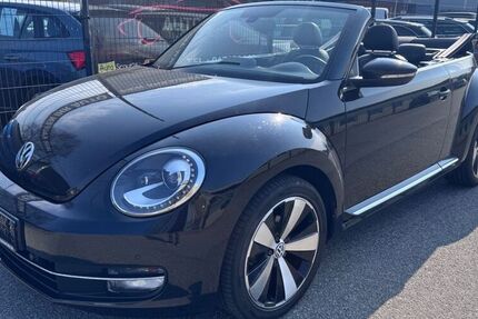VW Beetle