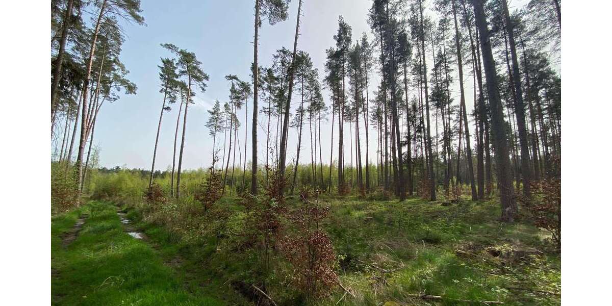 Grundstück Feuchtwangen - 69.000&euro; | Angebot:23997983