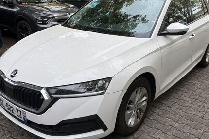 Skoda Octavia 156.000 km 14.875 &euro; Hofheim am Taunus 65719