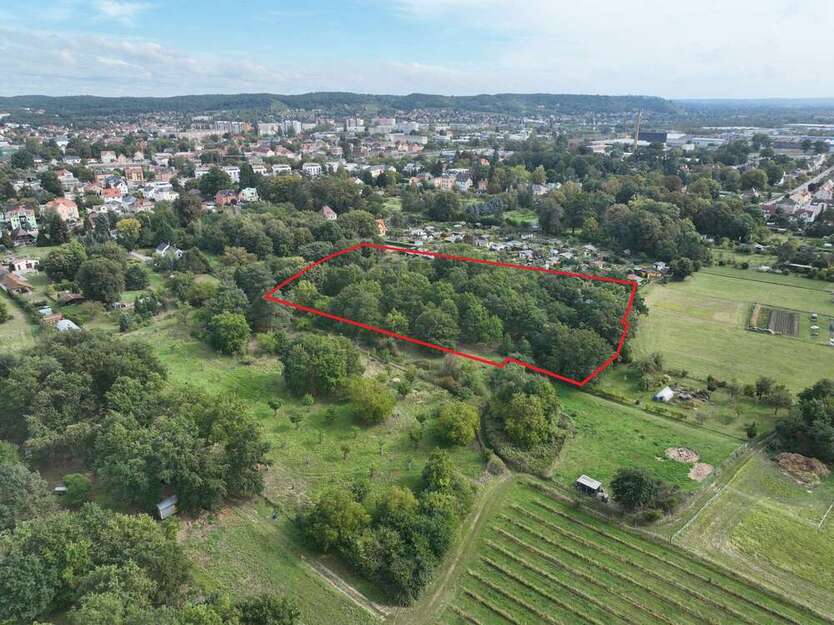 Grundstück in Coswig 8.900 € 8721 m² zimmer