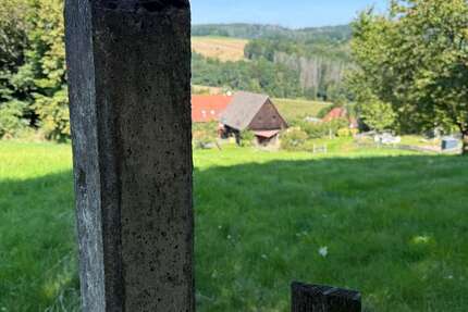 Haus Sebnitz - 6 Zimmer, 200 m&sup2;, 149.000&euro; | Angebot:24153600