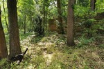 Kleiner wohnen und größer leben – naturnah mit viel Freiraum - Einfamilienhaus Langewahl | Angebot:26014063