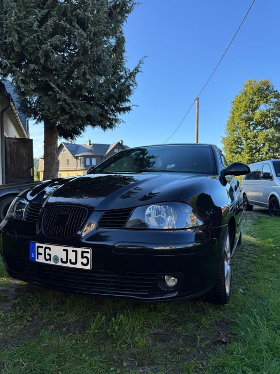 Seat Ibiza 202.000 km 3.600 € Neuhausen 09544
