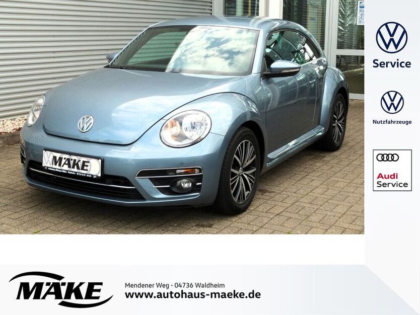 Beetle