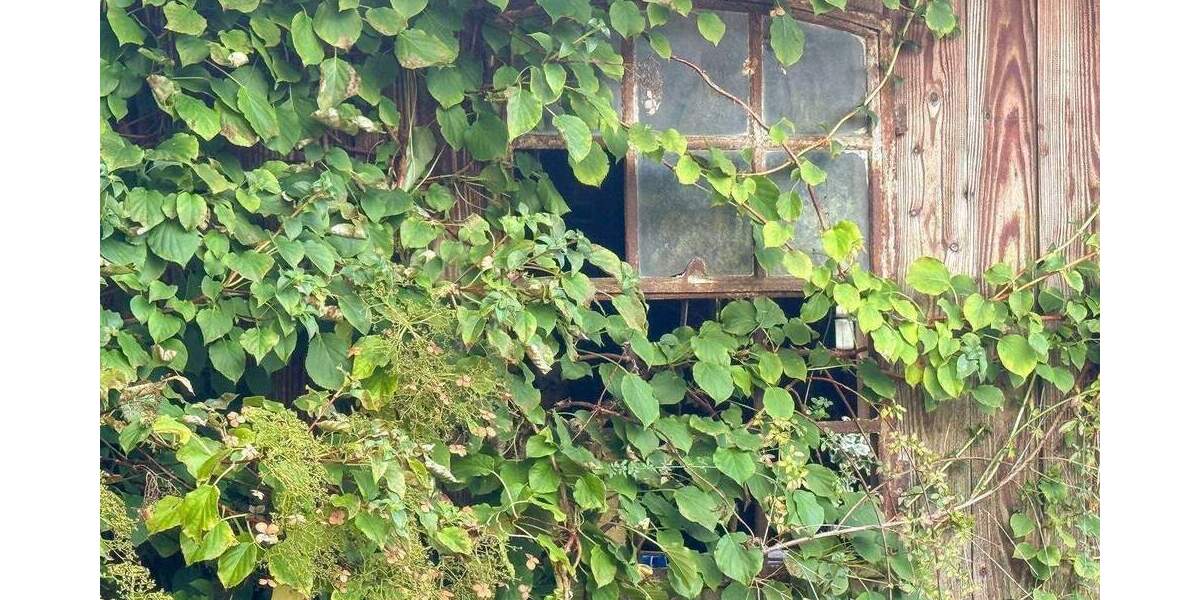 Einfamilienhaus Grevenkrug - 3 Zimmer, 75 m&sup2;, 239.000&euro; | Angebot:25675394