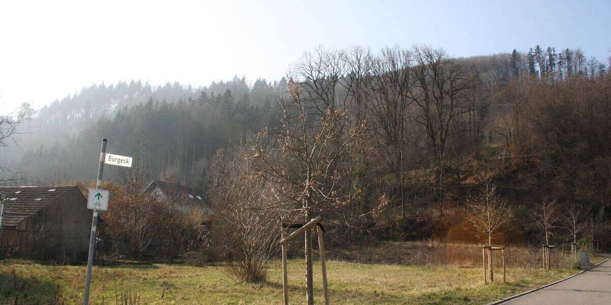 Grundstück Hausen im Wiesental - 228.930&euro; | Angebot:20711086