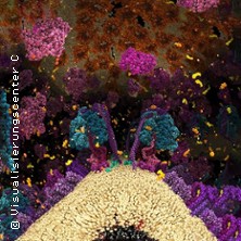 Die Chemie des Lebens – Das Unsichtbare in uns 3D 12.04.2026 Planetarium Hamburg