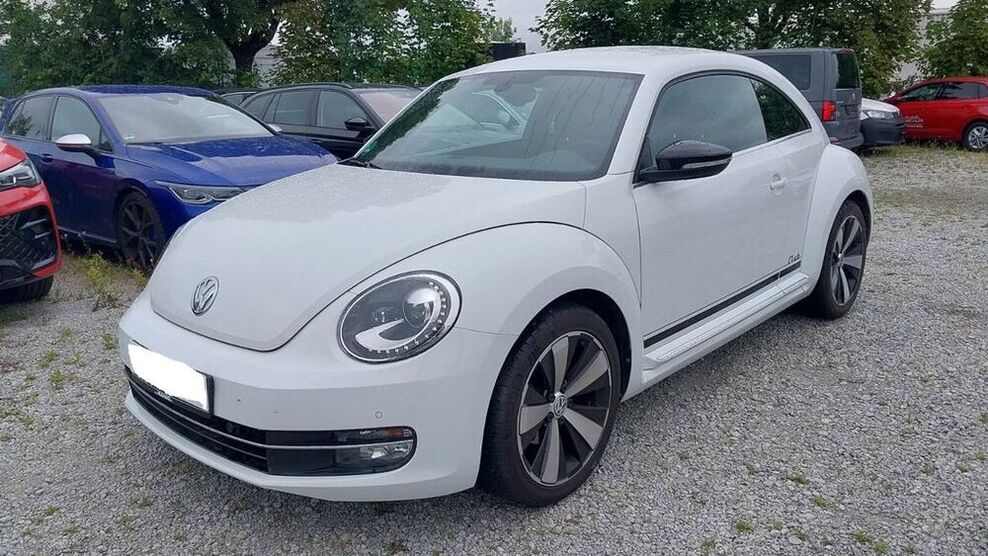 Beetle