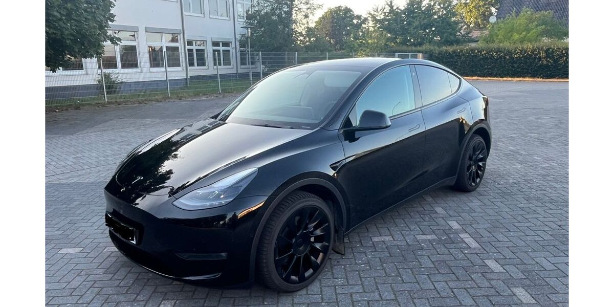Tesla Model Y 105.000 km 31.000 &euro; Gifhorn 38518