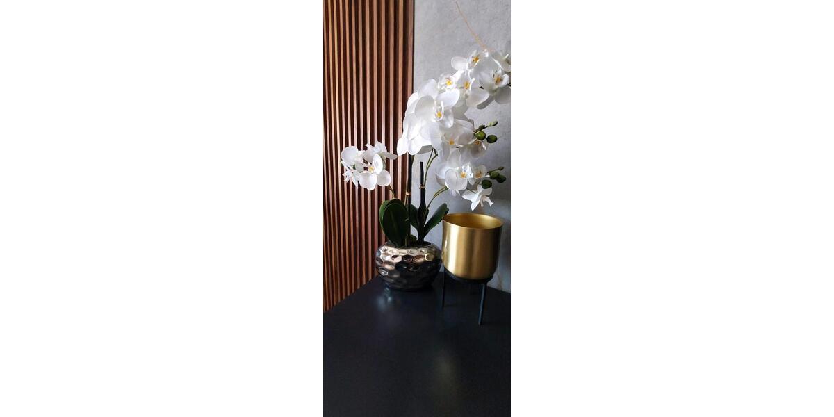 Etagenwohnung Mainz Gonsenheim - 3 Zimmer, 55 m&sup2;, 49.000&euro; | Angebot:26339442