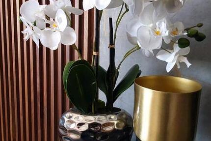 Wohnung Mainz Gonsenheim - 3 Zimmer, 55 m&sup2;, 49.000&euro; | Angebot:26339442