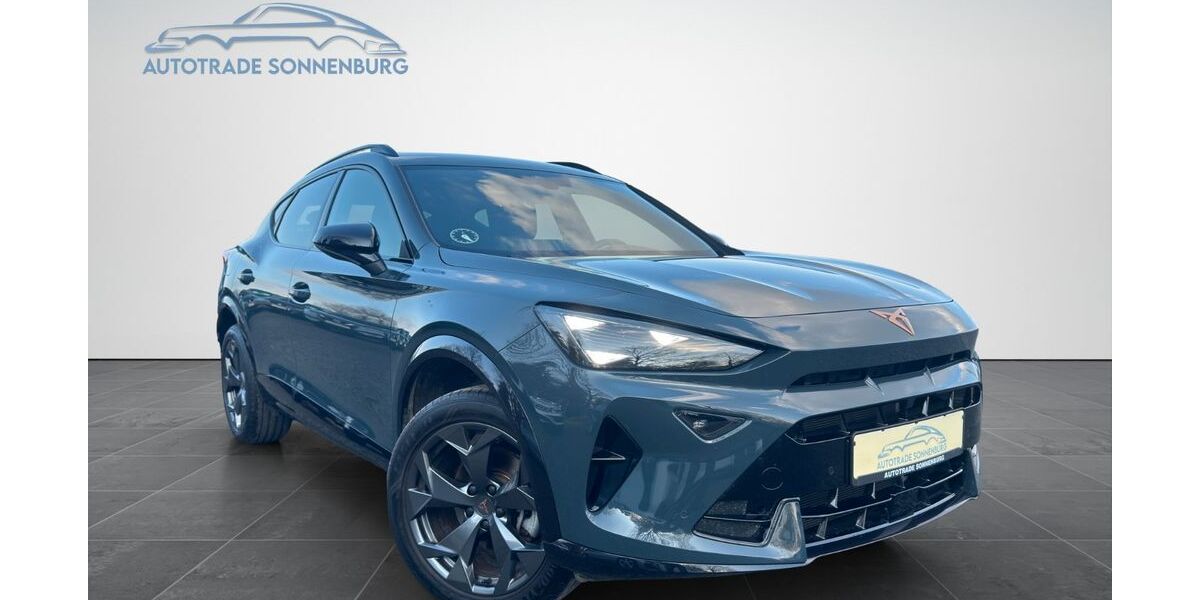 Cupra Formentor 15.707 km 29.990 &euro; Mehlingen 67678