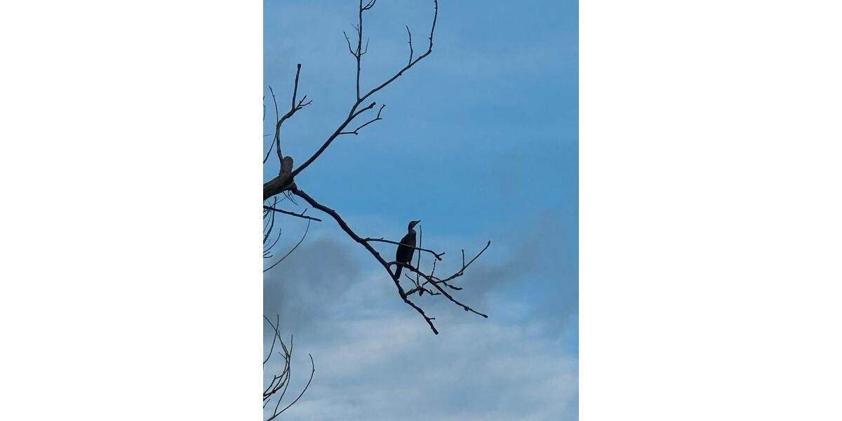 Reihenhaus Teterow - 3 Zimmer, 52 m&sup2;, 255.000&euro; | Angebot:26380018