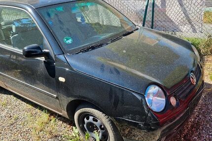 VW Lupo