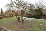 Mehrfamilienhaus, Wohnhaus Wasbüttel - 7 Zimmer, 269 m&sup2;, 550.000&euro; | Angebot:25662752