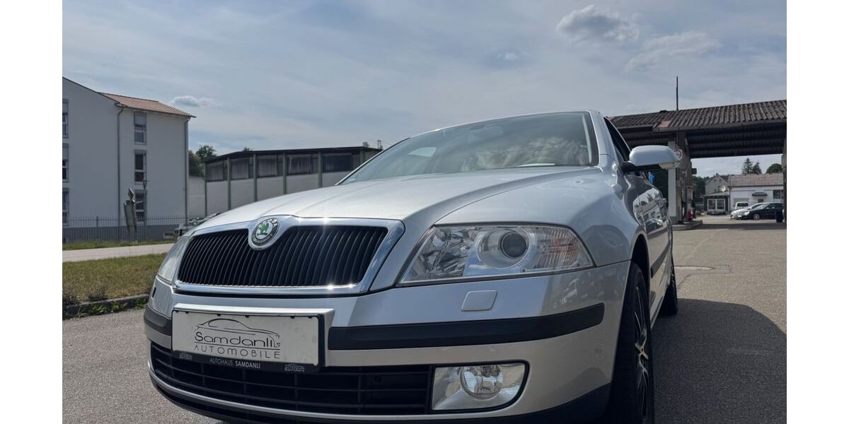 Skoda Octavia 166.000 km 4.950 &euro; Oberrot 74420