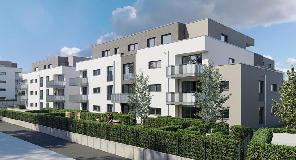 Etagenwohnung Rheinbach - 3 Zimmer, 90 m&sup2;, 1.193&euro; | Angebot:26433795