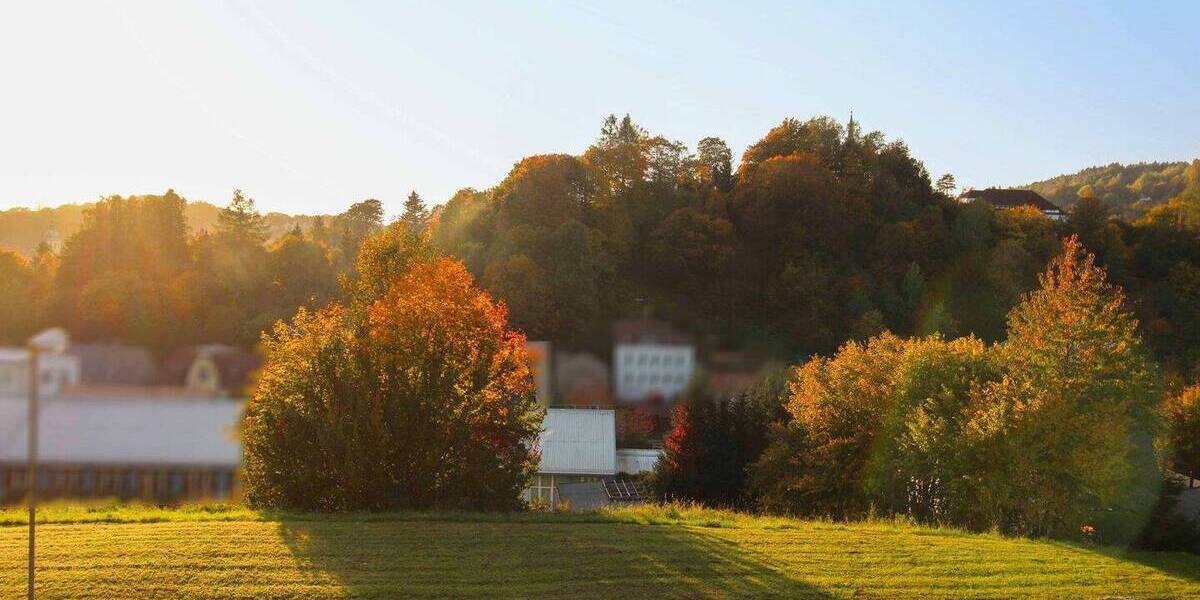 Grundstück Sebnitz - 30.000&euro; | Angebot:26789889
