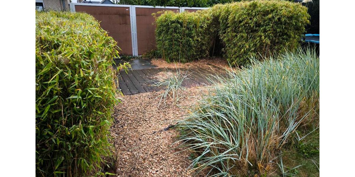 WG Zimmer in 3 Parteien WG 52m2 Jembke mit Garten zimmer