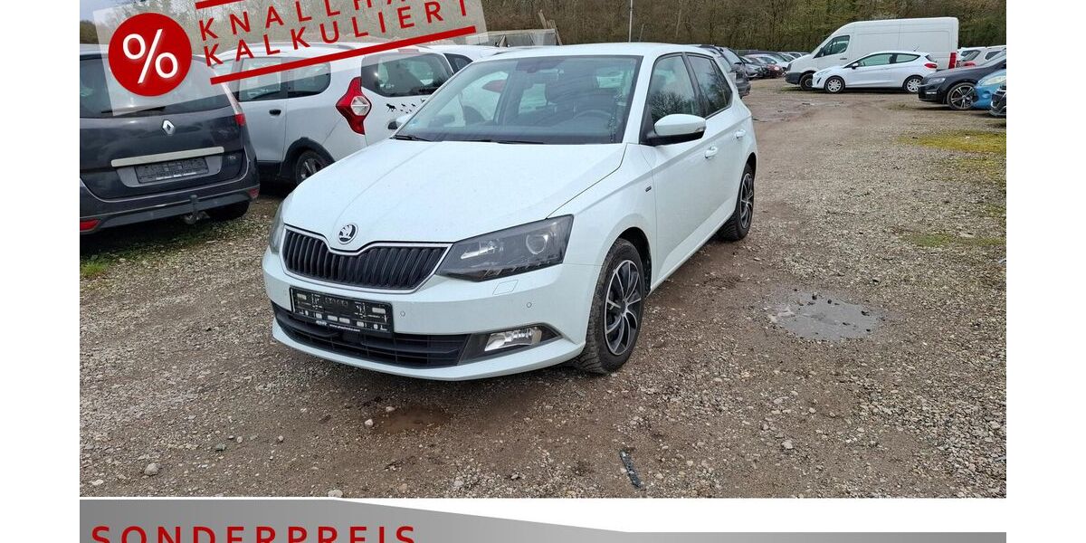 Skoda Fabia 131.000 km 7.785 &euro; Achern 77855