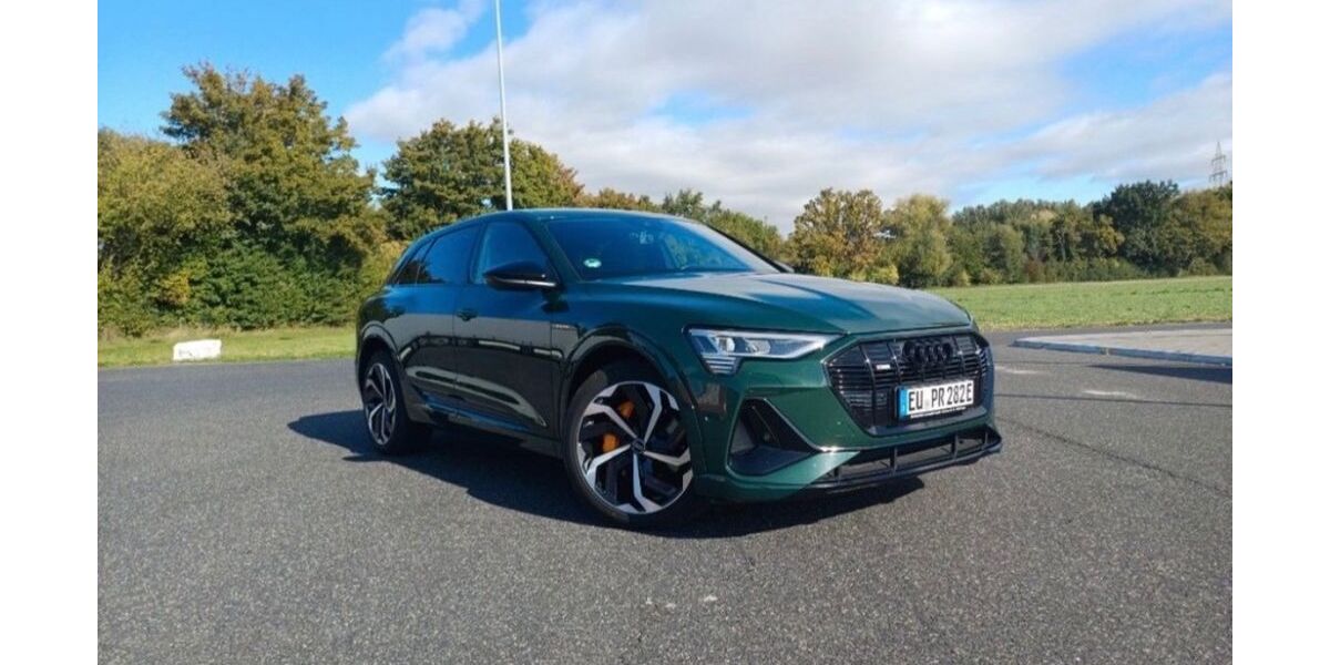 Audi Q8 e-tron 58.500 km 39.000 &euro; Schiffweiler 66578