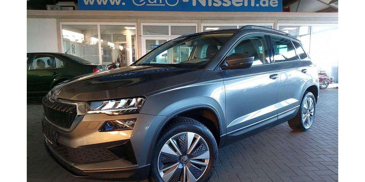 Skoda Karoq 29.604 km 24.450 &euro; Steinbergkirche 24972