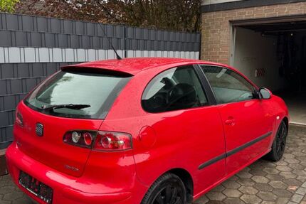 Seat Ibiza 217.347 km 1.750 &euro; Schlangen 33189