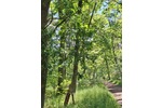 Waldflächen nahe Gifhorn - Kein Bauland